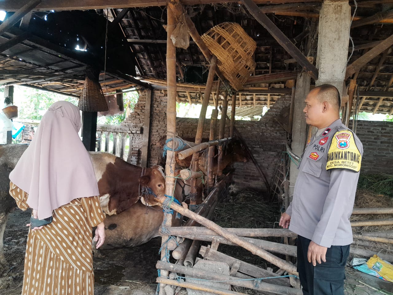 Bhabinkamtibmas Ngronggot Bersama Unsur Terkait Asistensi Peternakan Warga Dukung Ketahanan Pangan