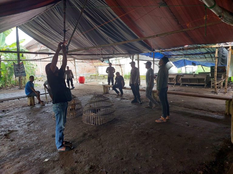 Polres Nganjuk Tindak Lanjut Dugaan Sabung Ayam di Bagor