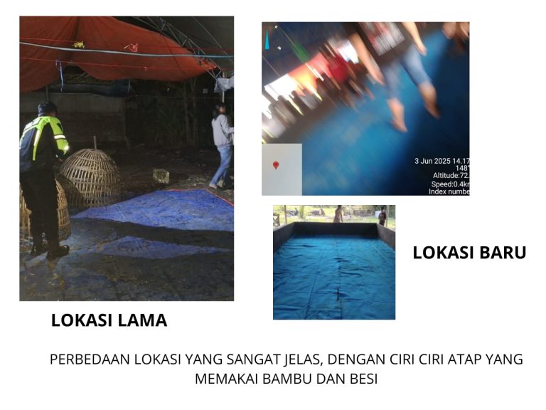 Diduga Bocor, Penggerebekan Polisi di Arena Sabung Ayam Sukomoro Tanpa Hasil: Masyarakat Mempertanyakan