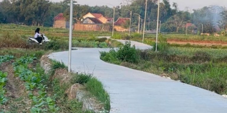 Komitmen Majukan dan Memakmurkan Desa, Kades Meteng Tak Segan Gelontorkan Dana Pribadi