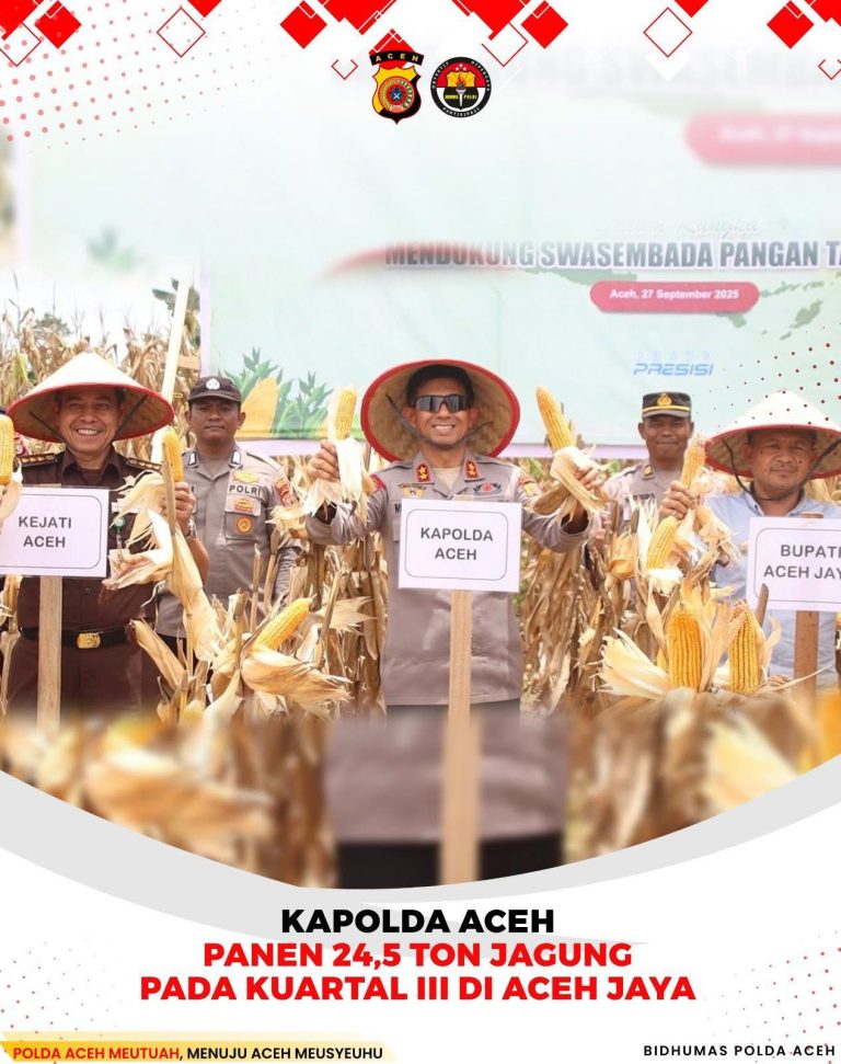 Kapolda Panen 24,5 Ton Jagung pada Kuartal III di Aceh Jaya