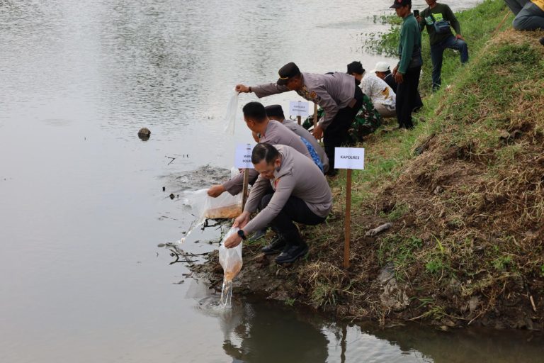 Jaga Ekosistem Sungai Polres Tulungagung Tebar 5.000 Benih Ikan Tombro di Boyolangu