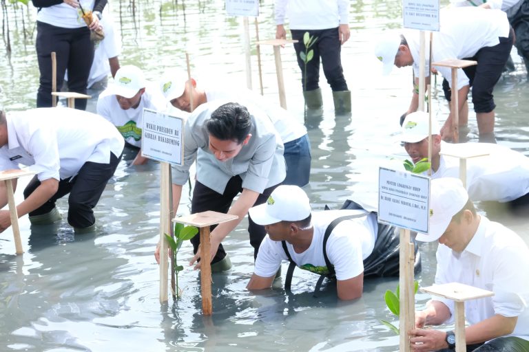 Kapolda Banten Dampingi Wakil Presiden RI dalam Kegiatan Perlindungan dan Pengelolaan Ekosistem Mangrove di Kabupaten Tangerang