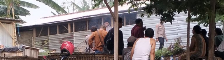 Maraknya Sabung Ayam di Dusun Glagah Mojokerto, Polisi Pastikan Akan Tindak Lanjuti