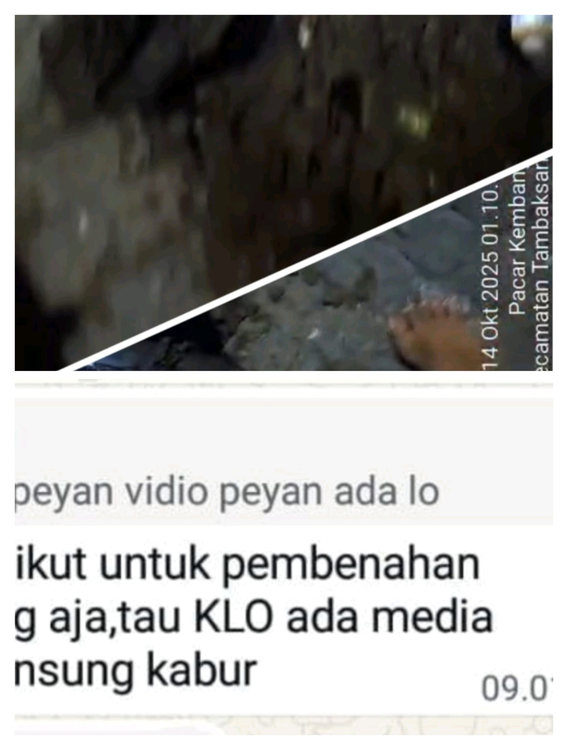 Kepercayaan A, Diduga Terlibat Pencurian Kabel Telkom: SK Akui Berada di Lokasi untuk Benahi Paving