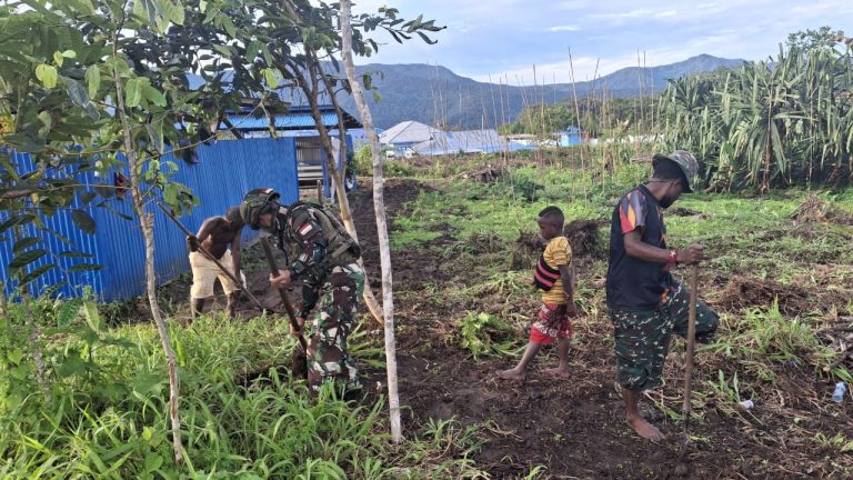 Lahan Pangan Satgas Yonif 521/DY Bantu Warga Ubah Lahan Kosong Jadi Sumber Pangan Bersama di Kobakma*