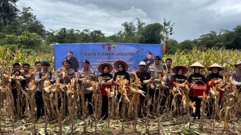 Sat Brimob Polda Jabar dan Kelompok Tani Duha Gelar Panen Raya Jagung di Tasikmalaya Dalam Program Ketahanan Pangan