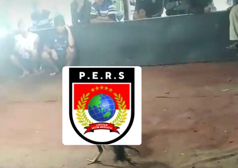 Sabung Ayam Kabupaten Malang Desa Blandit Bebas Beroperasi  