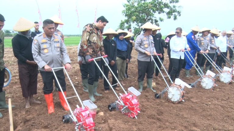 Implementasi Kerja Sama FKDB–Polri Dimulai, Komjen Karyoto Hadiri Penanaman Perdana Jagung di Indramayu