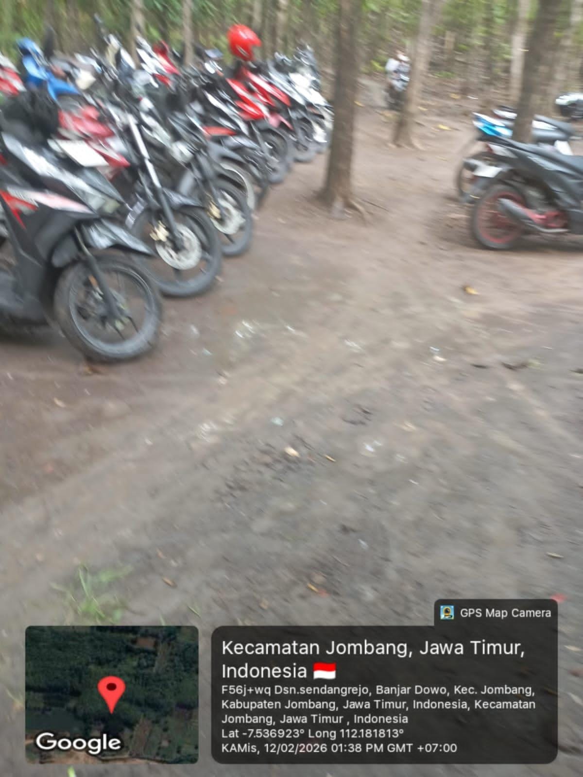 Merajalela! Judi Sabung Ayam di Sendangrejo Diduga Bebas Beroperasi, Warga Pertanyakan Ketegasan APH Polres Jombang