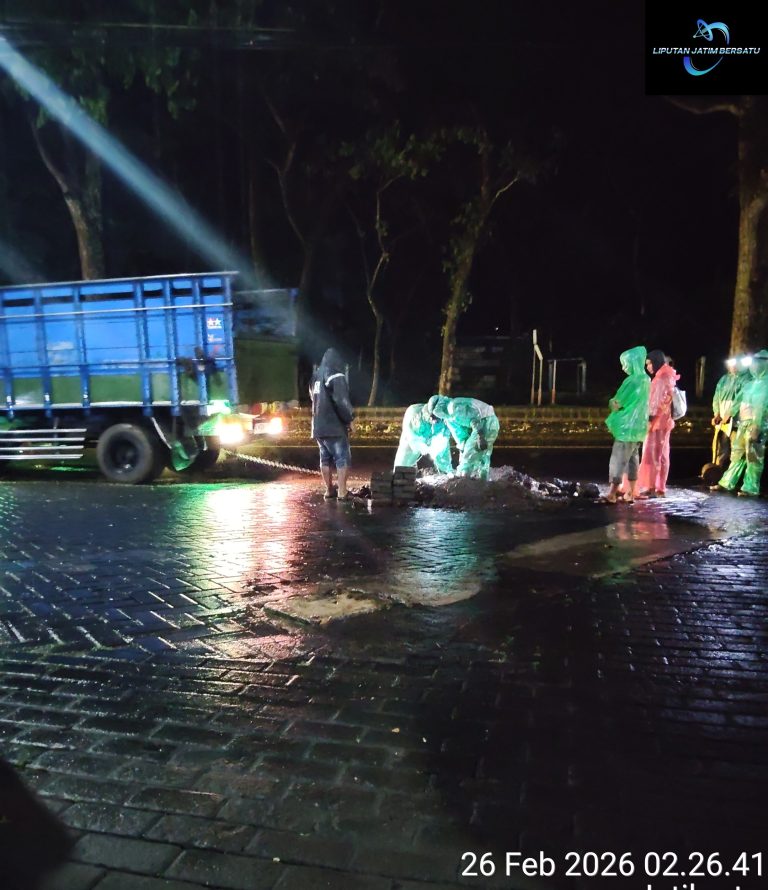 Aktivitas Penggalian Kabel Tengah Malam di Jatikerto, Legalitas Dipertanyakan