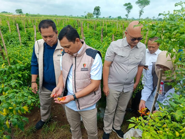 Pantau Pasar dan Petani di Jatim, Satgas Saber Pelanggaran Pangan Pusat: Mayoritas Harga Komoditas Stabil