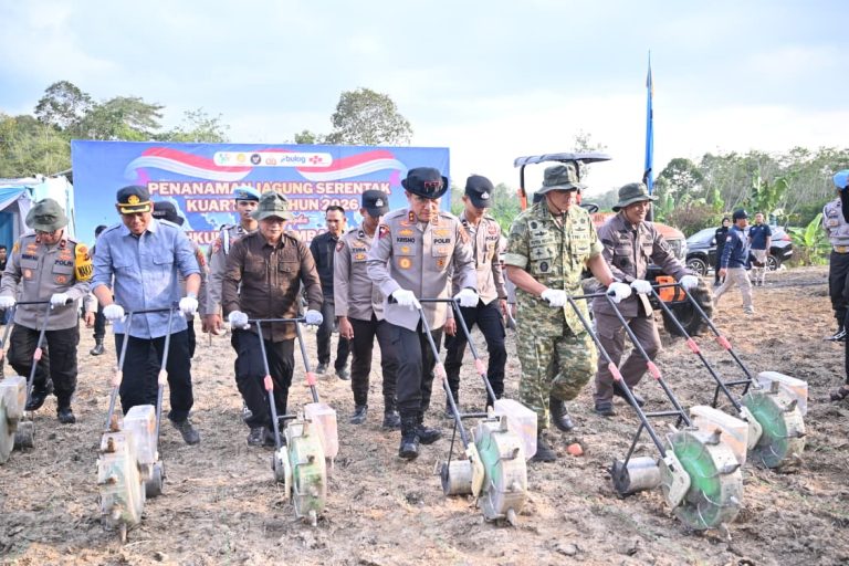 Dukung Ketahanan Pangan Nasional, Polda Jambi Gelar Tanam Jagung Raya Serentak Kuartal I Tahun 2026