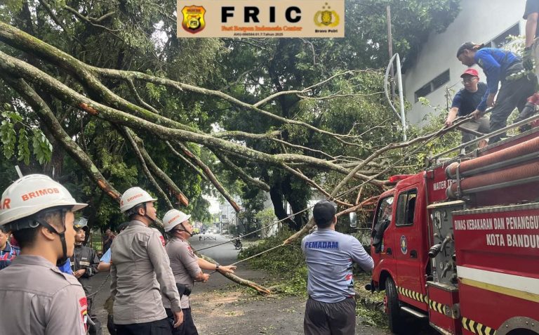 Gerak Cepat Tim SAR Sat Brimob Polda Jabar Tangani Pohon Tumbang di Bandung, Akses Jalan Kembali Normal