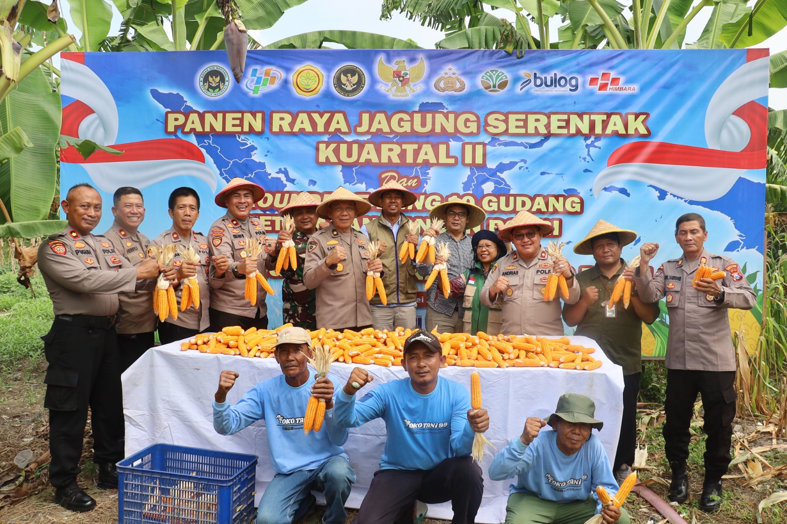 Polsek Kenjeran,Dukung Ketahanan Pangan, Panen Jagung Di Jalan Tambak Wedi Baru.