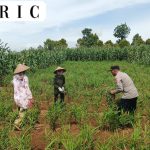 Dalam Upaya Mendukung Ketahanan Pangan Nasional, Panit Samapta II Polsek Cikijing Sambangi Petani