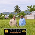 Pertanian yang modern dan produktif menjadi modal penting menuju swasembada pangan