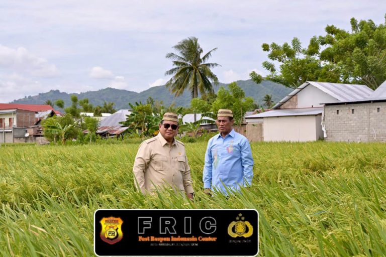 Pertanian yang modern dan produktif menjadi modal penting menuju swasembada pangan