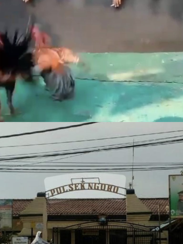Dugaan Sabung Ayam di Ngoro Kembali Beroperasi, Sabtu Terpantau Buka dan Ramai Pengunjung
