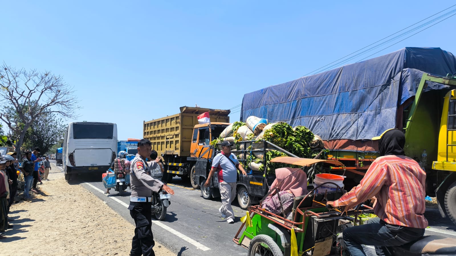 Tabrakan Beruntun Camplong Sampang, 1 Sopir Luka Berat 3 Penumpang Terluka