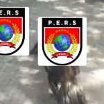 Dugaan Sabung Ayam di Putat Indah Timur: Publik Tunggu Bukti, Bukan Sekadar Janji