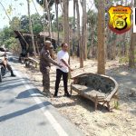 Warga Prenduan Temukan Bayi Laki-Laki di Pinggir Jalan, Polsek Prenduan Lakukan Penyelidikan