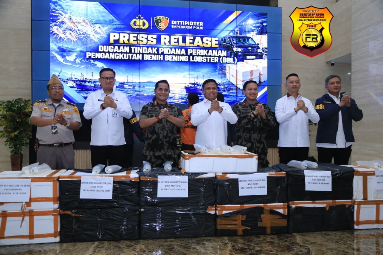 Polri Ungkap Jaringan Penyelundupan Baby Lobster Lintas Negara, Dua Pelaku Ditangkap