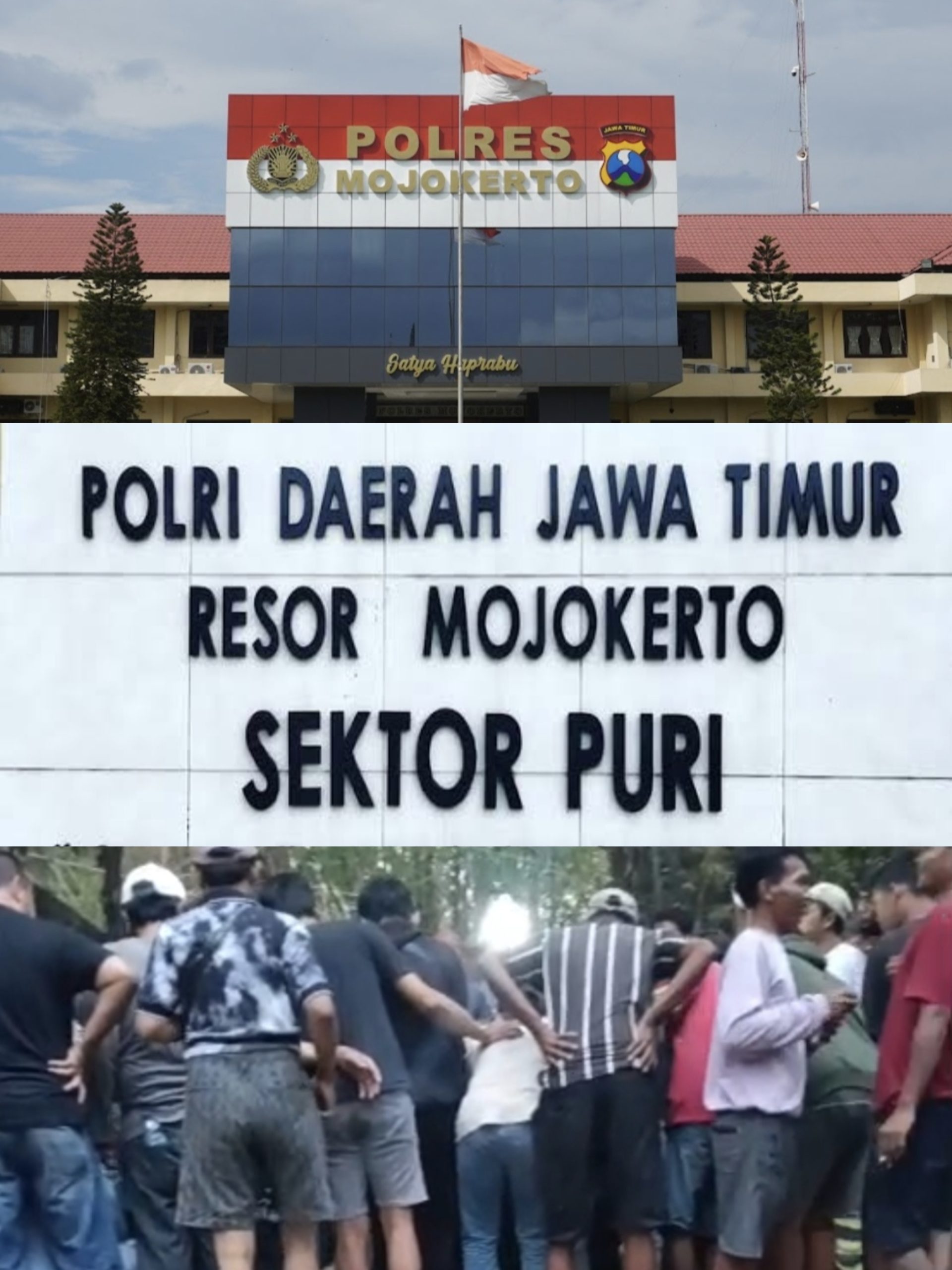 Dugaan Sabung Ayam DI Karang Wungu Jadi Sorotan, Publik Menunggu Ketegasan APH