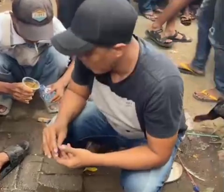 Diduga Beroperasi Setiap Hari, Aktivitas Sabung Ayam di Dusun Klatakan, Dayurejo, Prigen Minta Ditelusuri